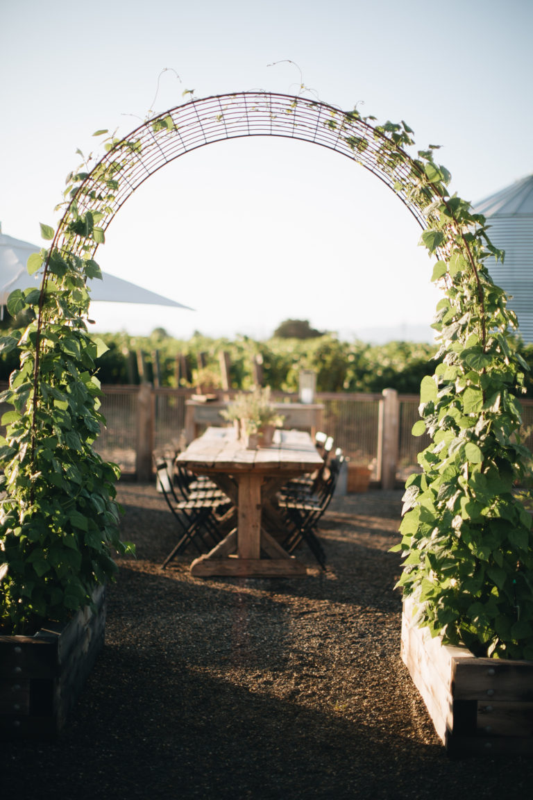 Vegetable Garden Trellis Ideas Simphome