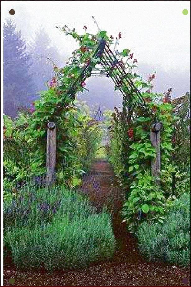 Rustic Garden Ideas