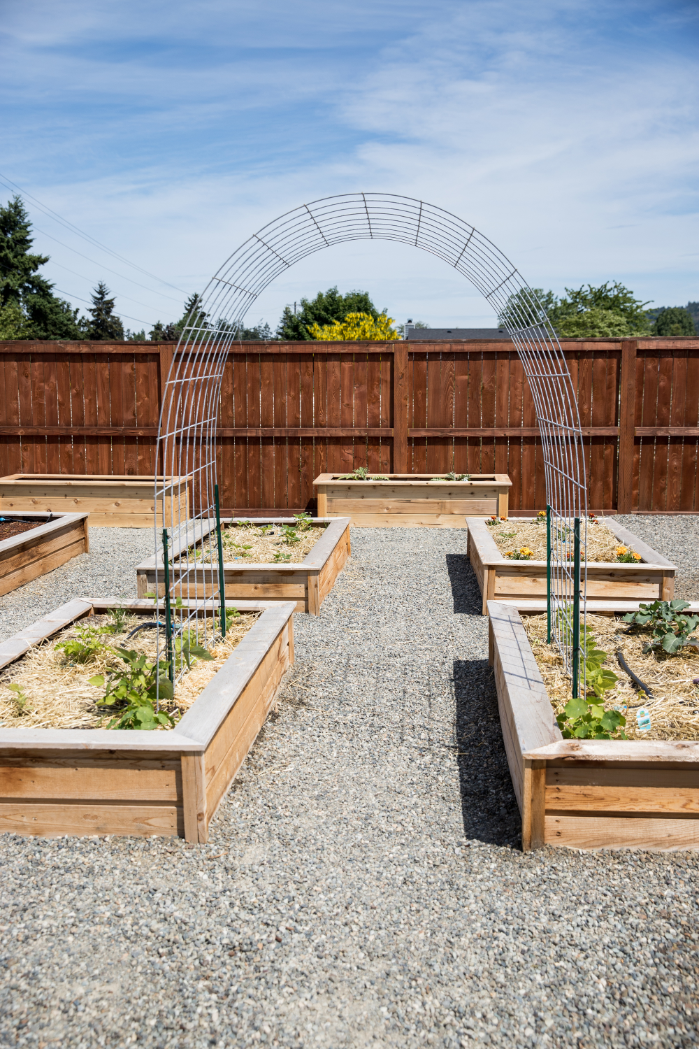 Vegetable Garden Trellis