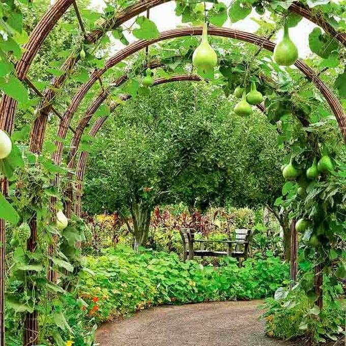 Stunning Creative Diy Garden Archway Design Ideas