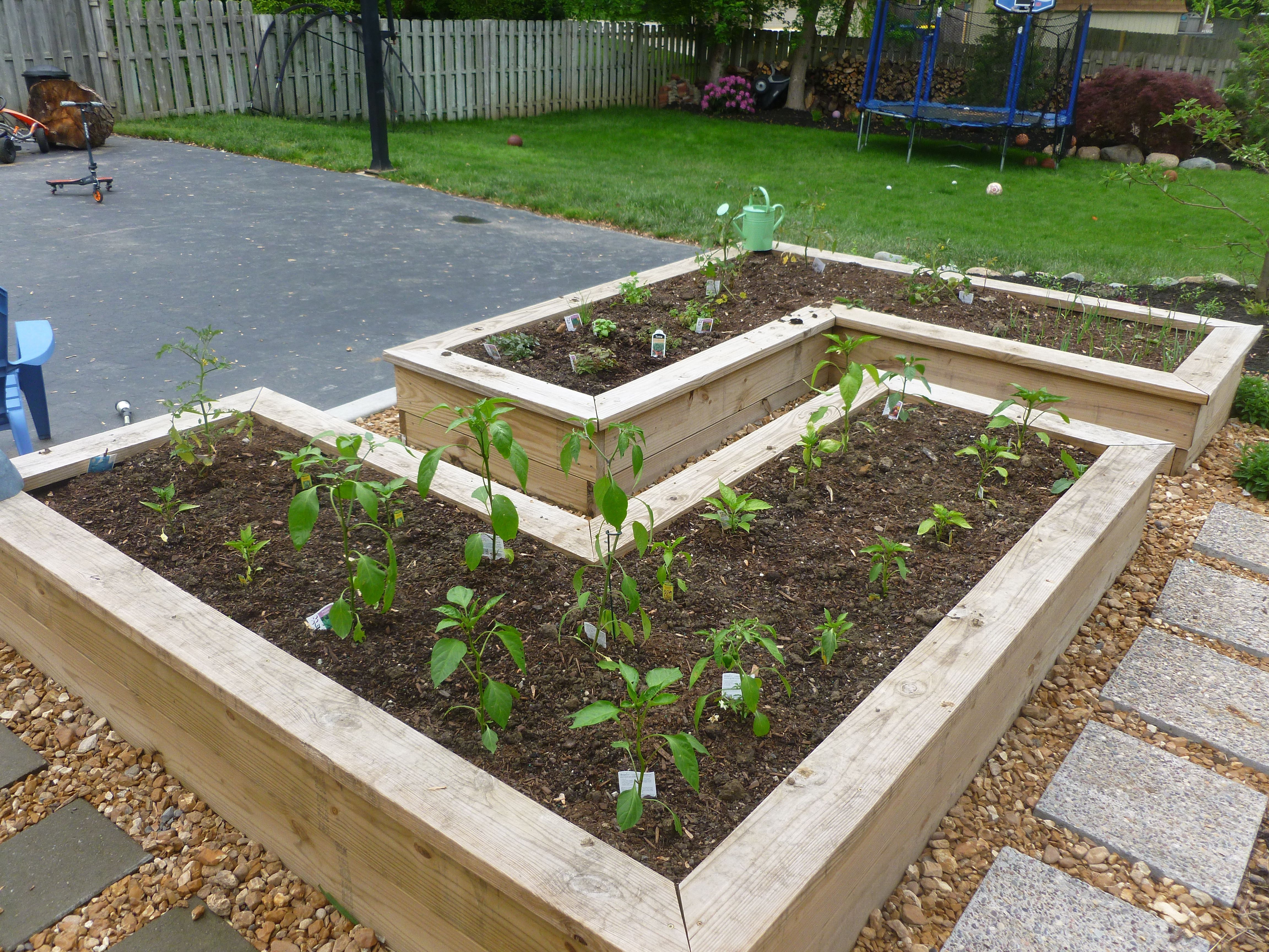 A Raised Vegetable Garden Bed