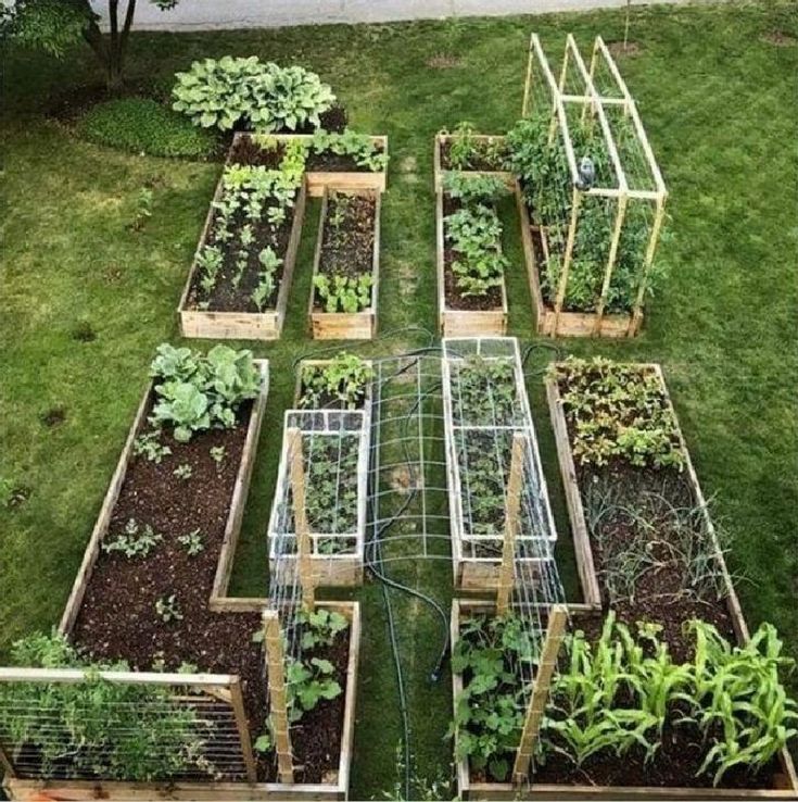 A Simple Garden Planter Box Raised Bed Garden