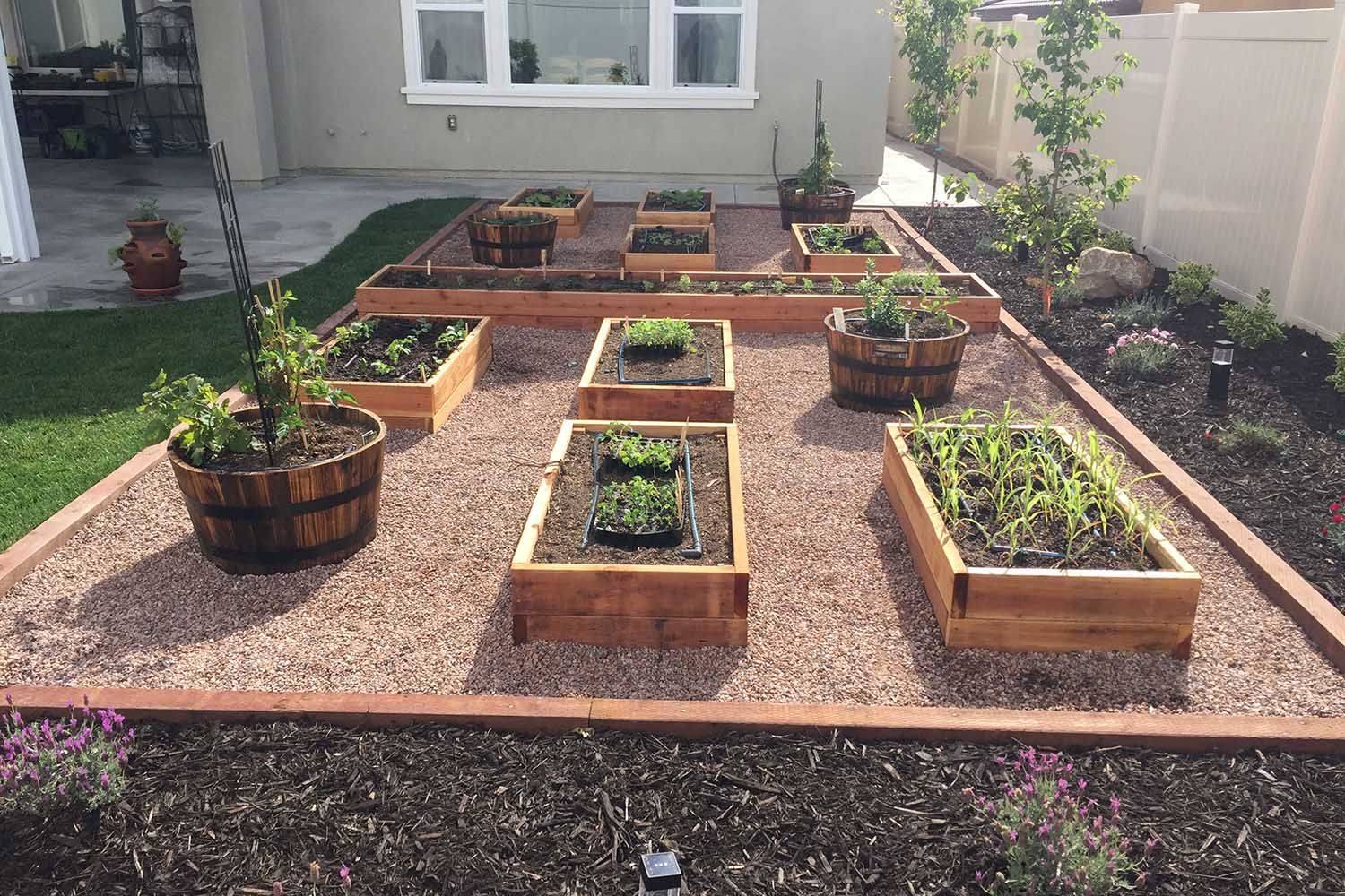Vegetable Garden Box Ideas