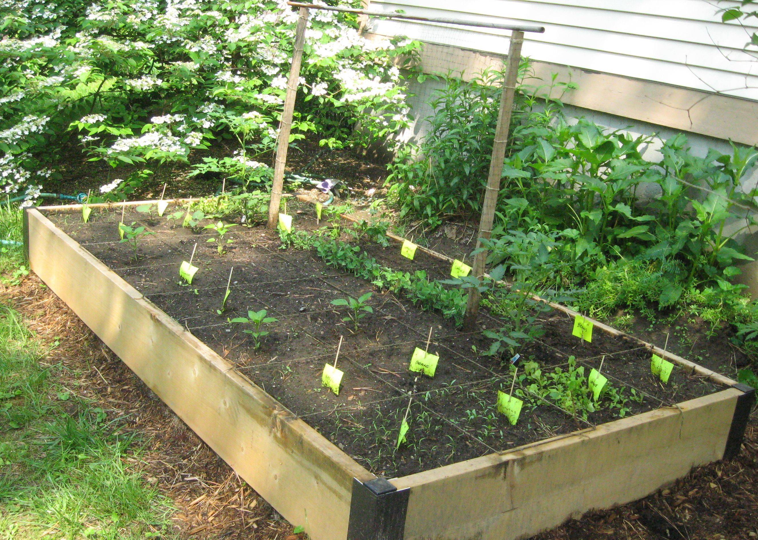 Lovely Raised Vegetables Garden Ideas Matchnesscom