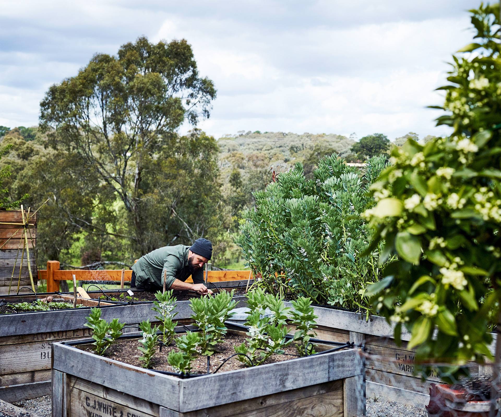 Creative And Inspiring Raised Bed Vegetable Garden Ideas