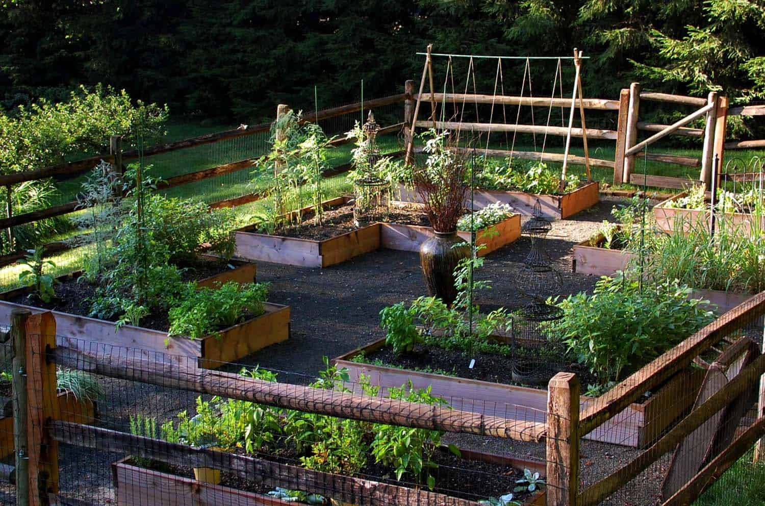 A Raised Bed Vegetable Garden Vegetable Garden