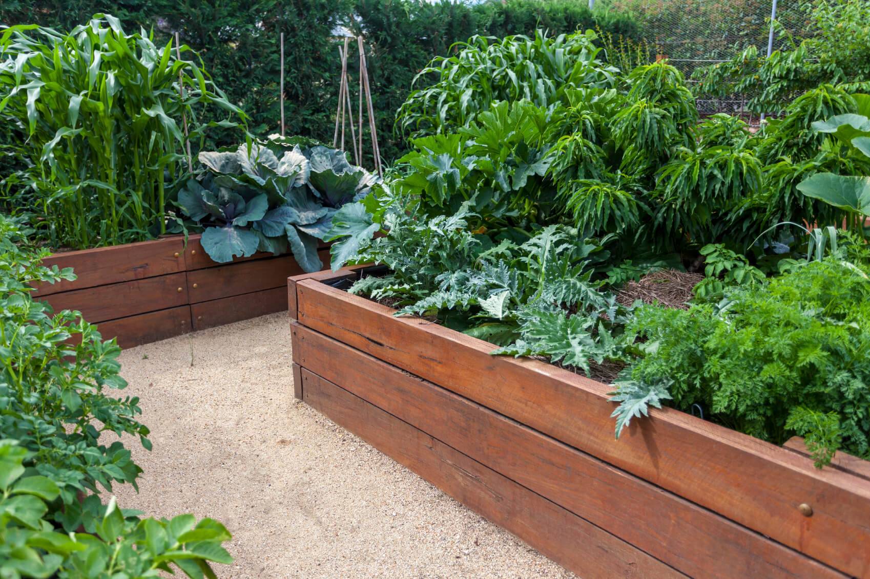 Simple Raised Vegetable Garden Bed Ideas