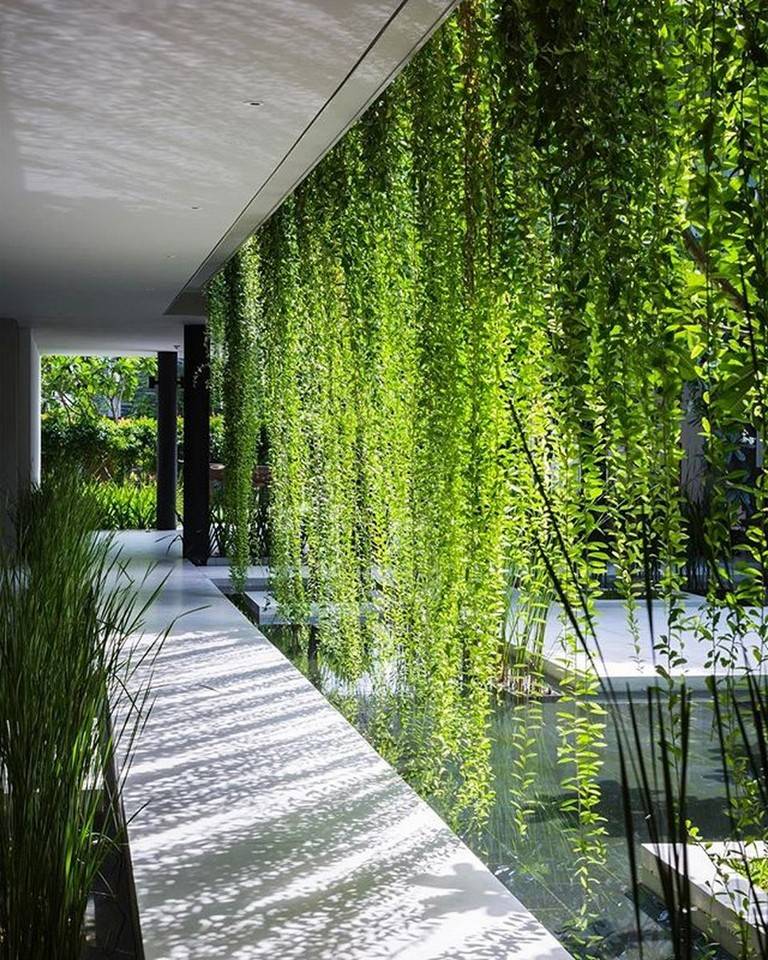 Amazing Vertical Garden Ideas