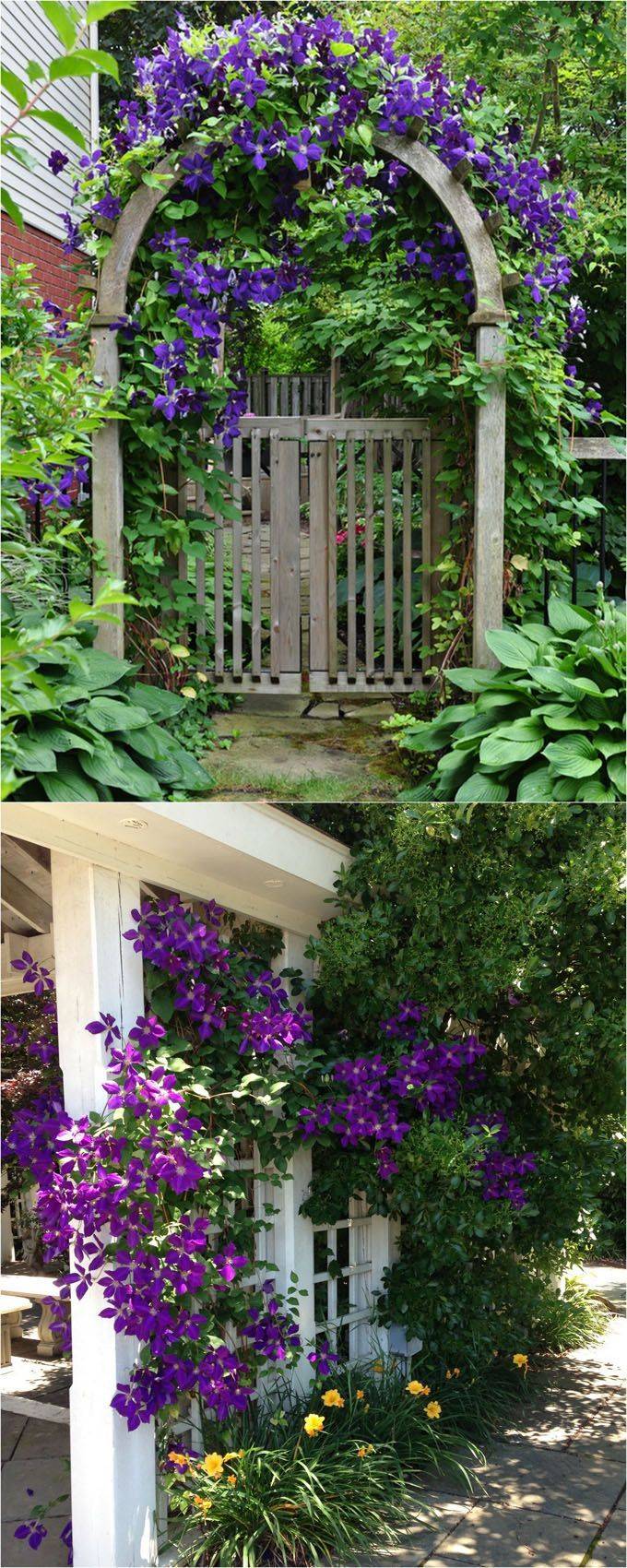 Wonderful Diy Trellises