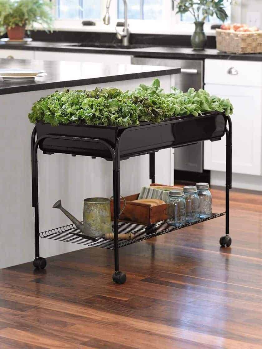 Indoor Gardening Supplies