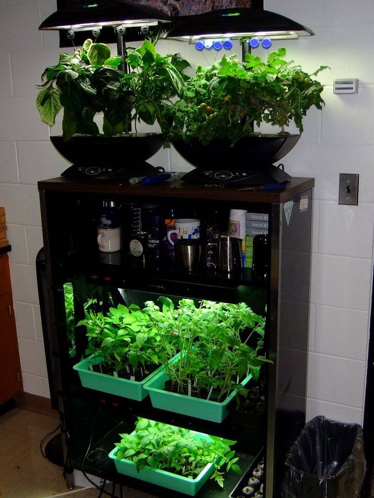 Indoor Grow Supplies