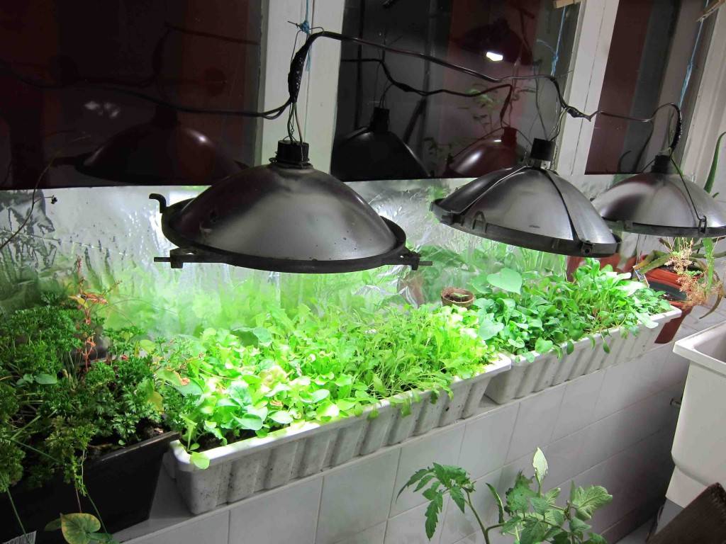 Grow Lights Indoor Greenhouses Family Food Garden Indoor