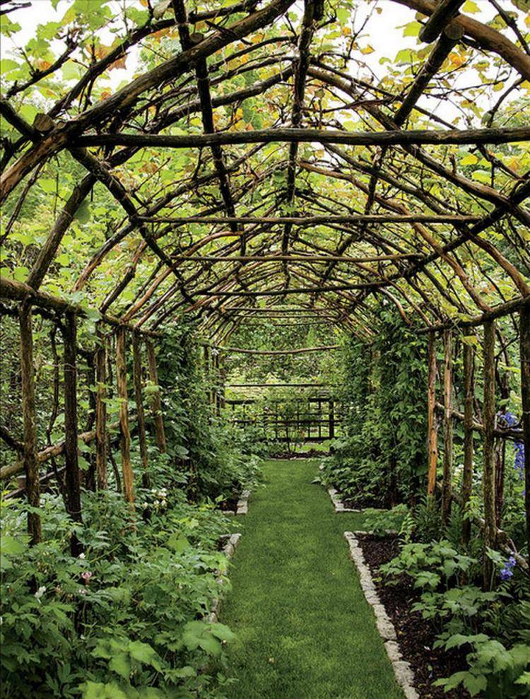 Fascinating Grape Arbor Ideas