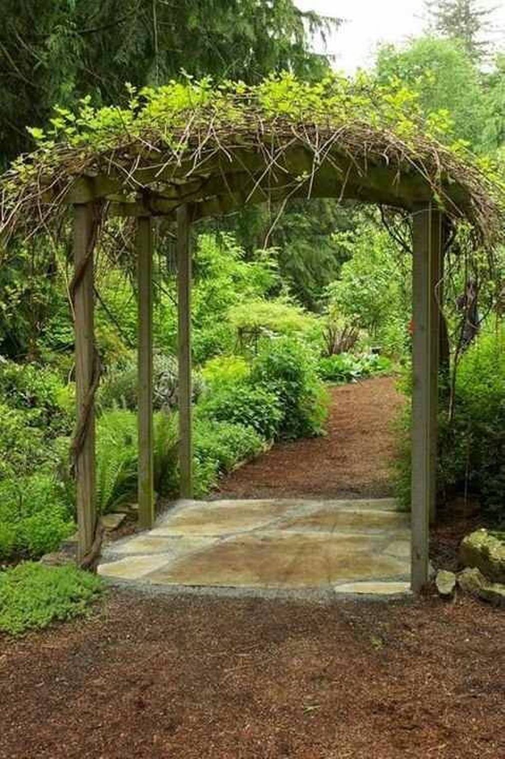Abbbdffefejpg Pergola Garden Garden