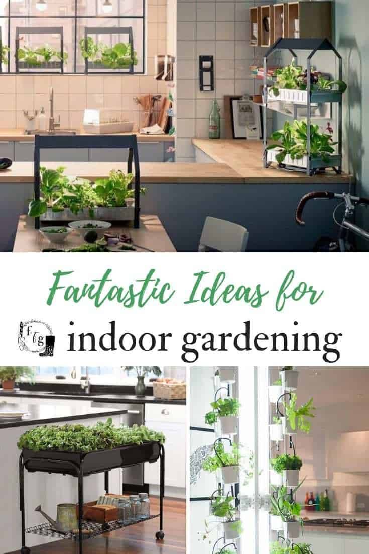 Indoor Vegetable Garden Ideas