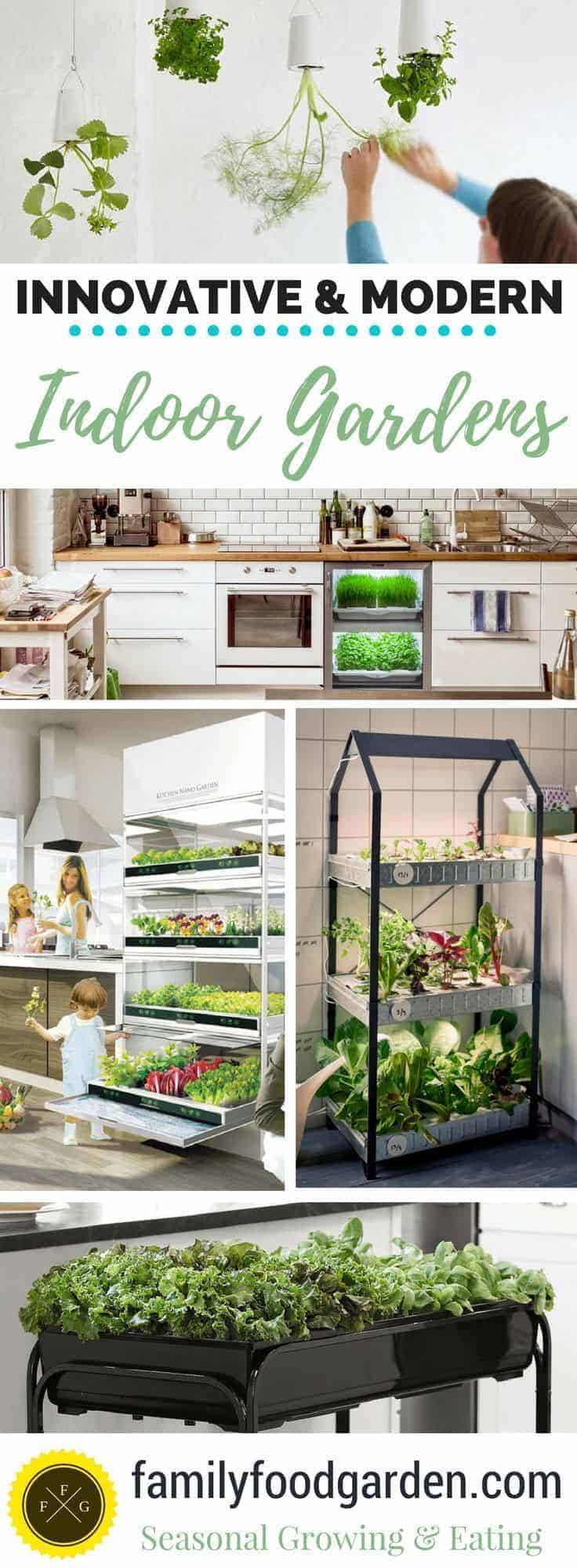 Creative Mini Indoor Garden Ideas