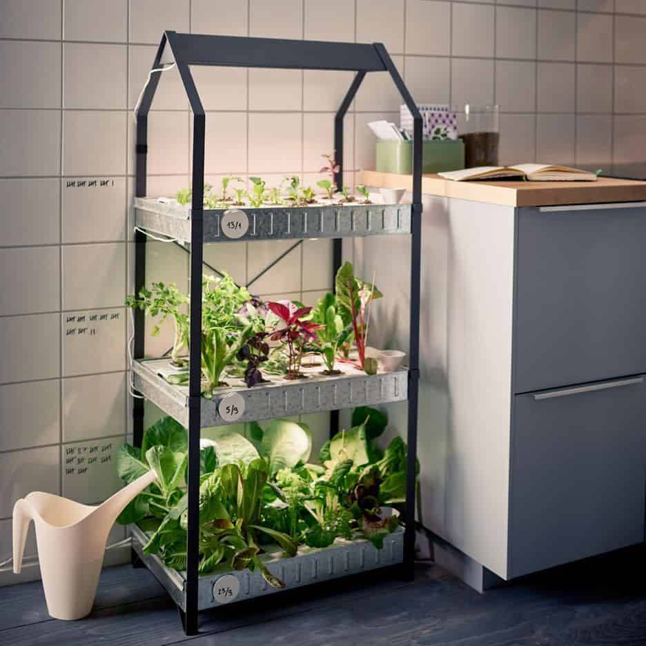 Indoor Food Garden Ideas