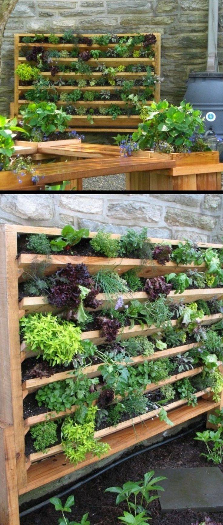 Indoor Gardening Ideas