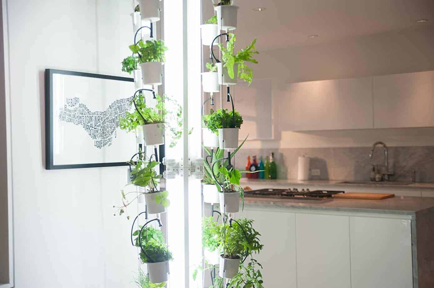 Indoor Gardening Ideas