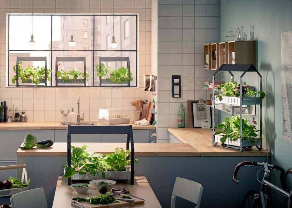 Indoor Gardening Ideas