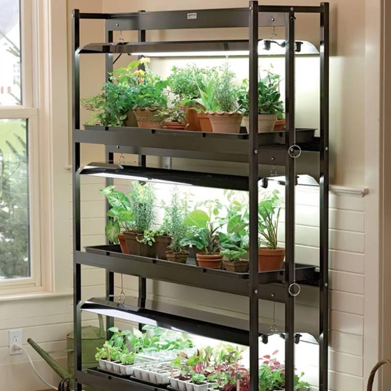 Indoor Gardening Ideas