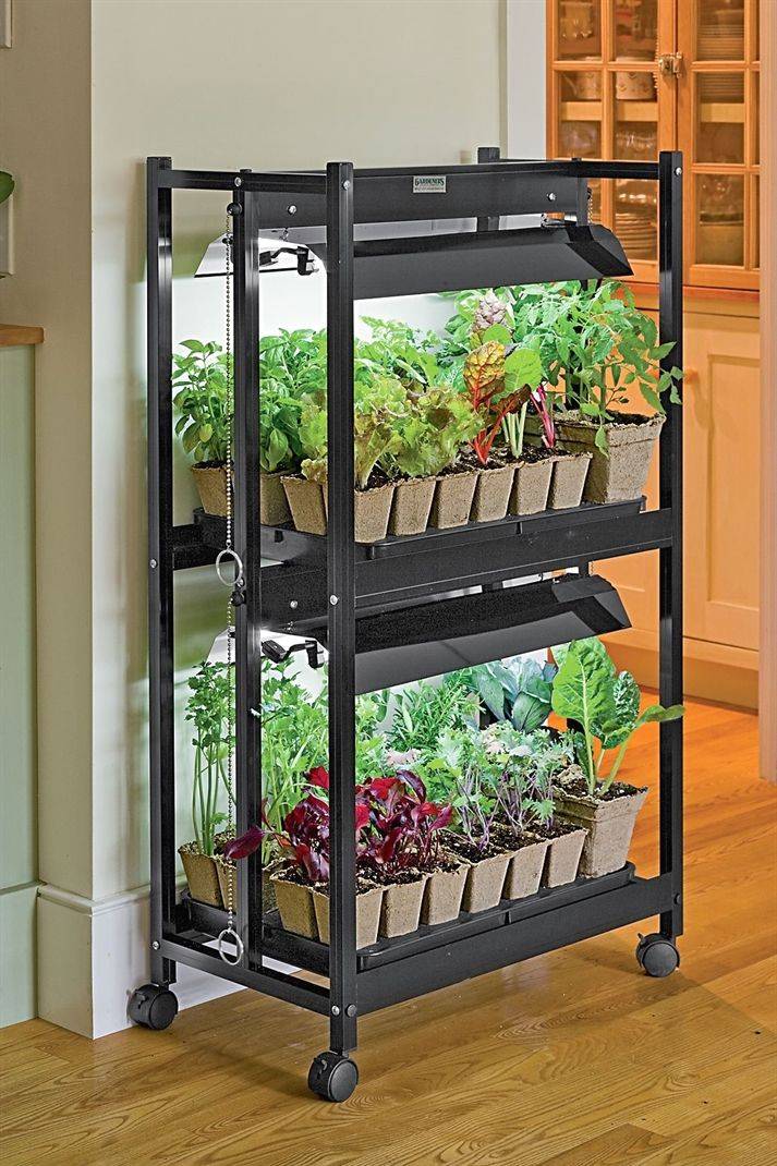 Indoor Vegetable Garden