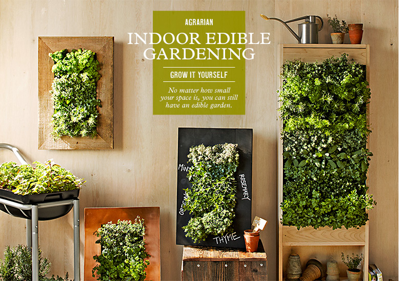 Vertical Indoor Gardening Diy Craft