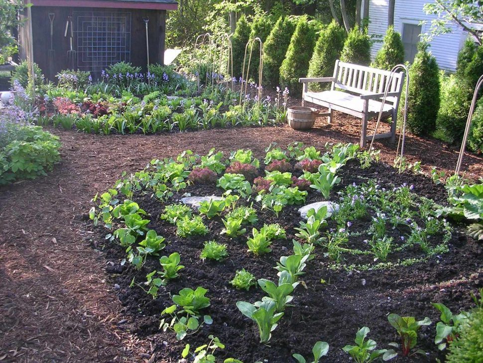 Vegetable Garden Fence Ideas Indoor Vegetable Garden