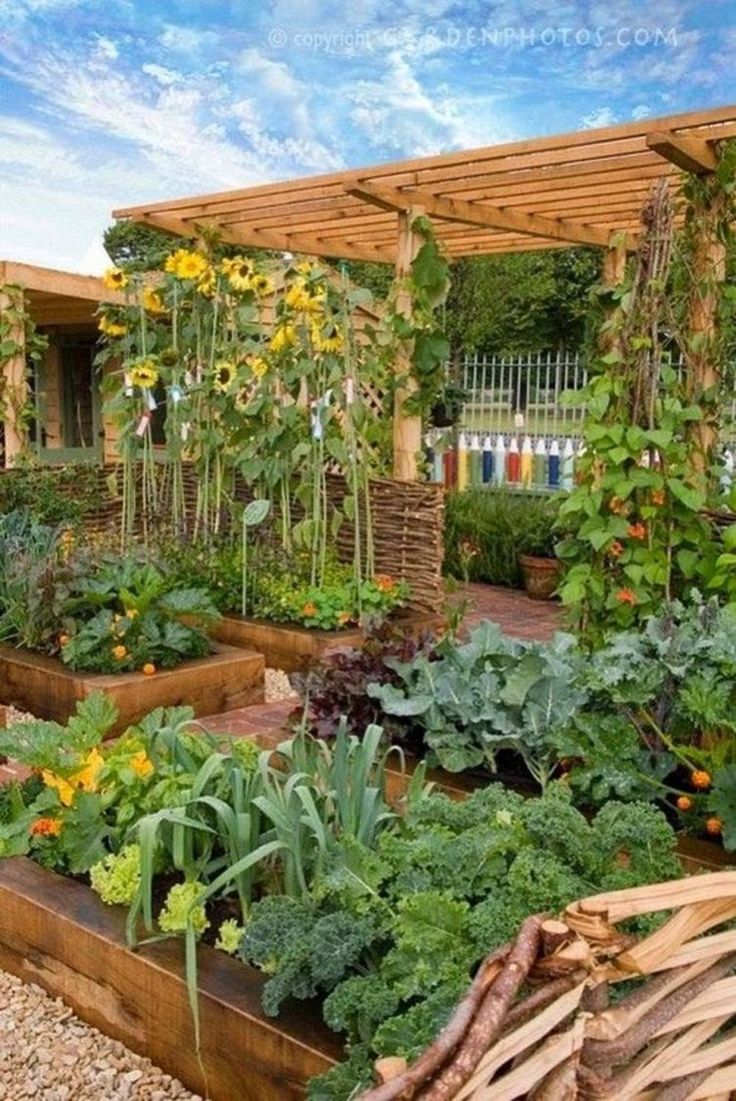 Brilliant Edible Garden Design Ideas
