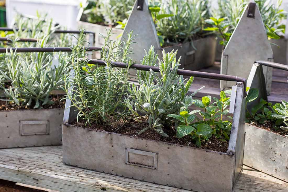 Brilliant Edible Garden Design Ideas Herb Garden Design