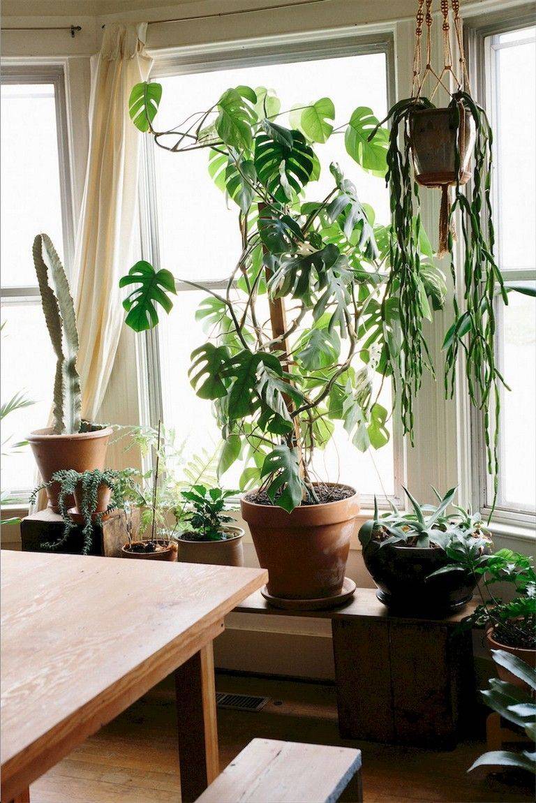 Indoor Garden Apartment Design Ideas