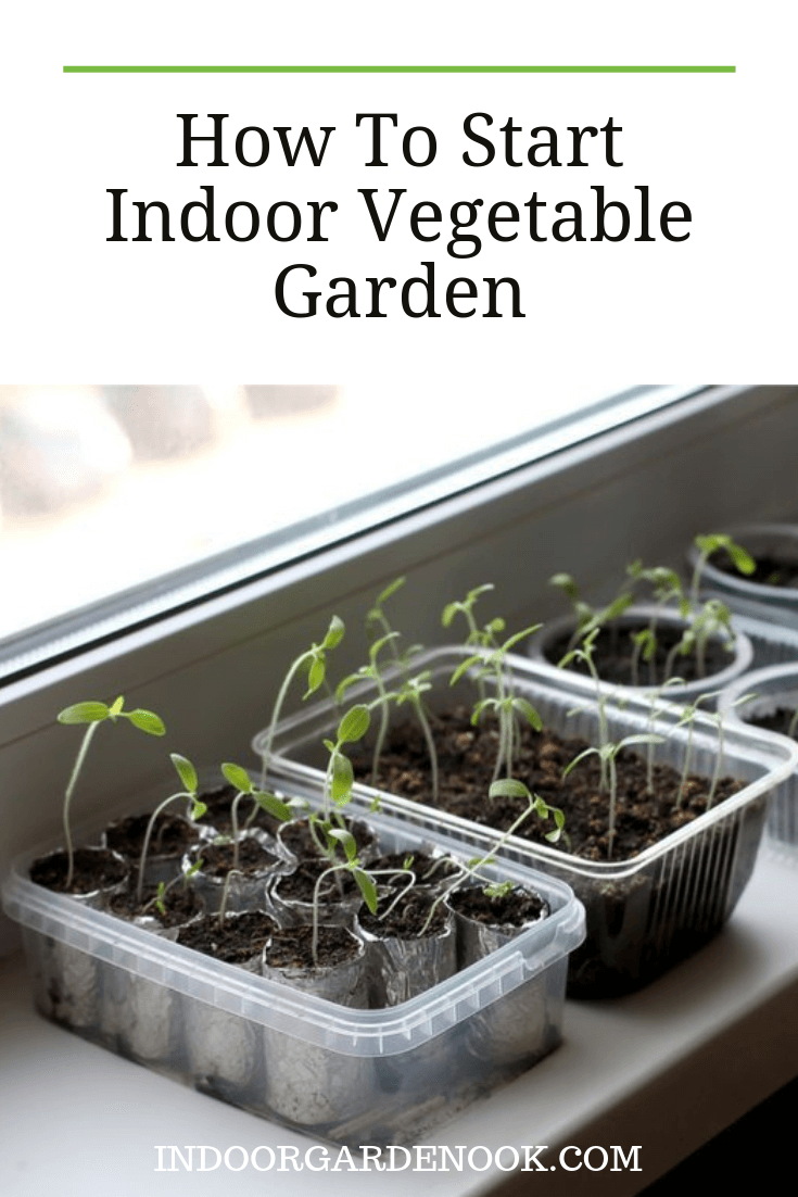 Your Garden Indoors