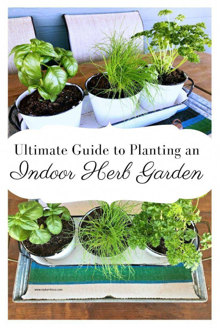 Indoor Herb Garden Ideas