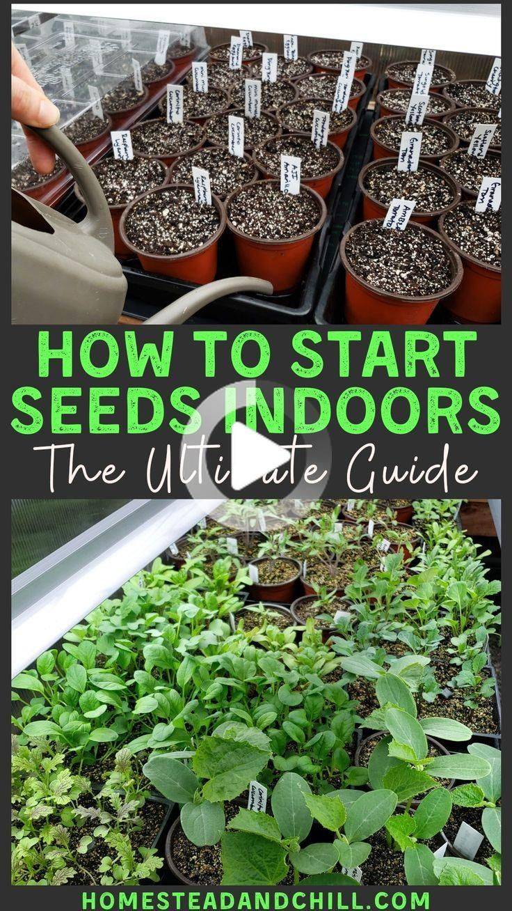 Your Indoor Garden