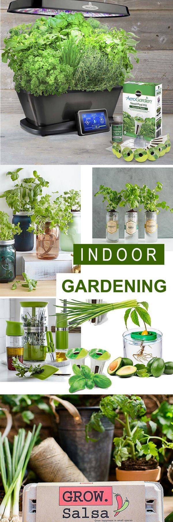 Indoor Gardening Tips You Will Love Indoor Vegetable Gardening