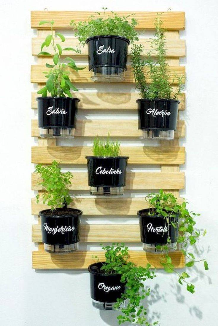 Beautiful Indoor Herb Garden Ideas Page