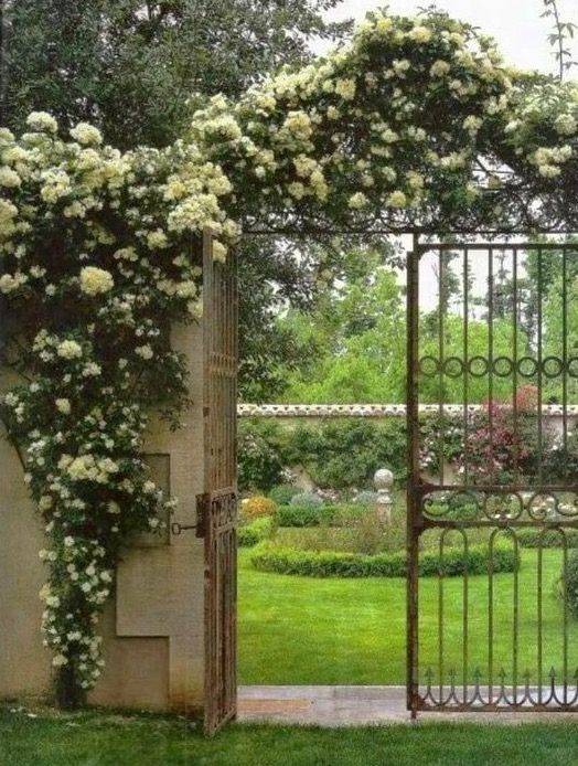 Growing With Plants Garden Entrance