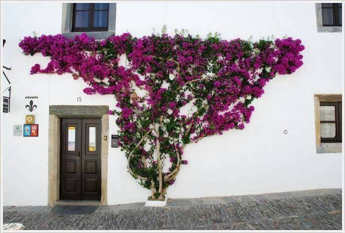 Spanish Garden Patio Spanish Old World