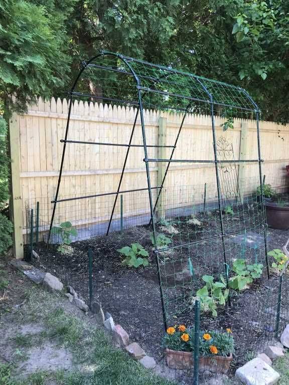 Your Very Own Vegetable Garden