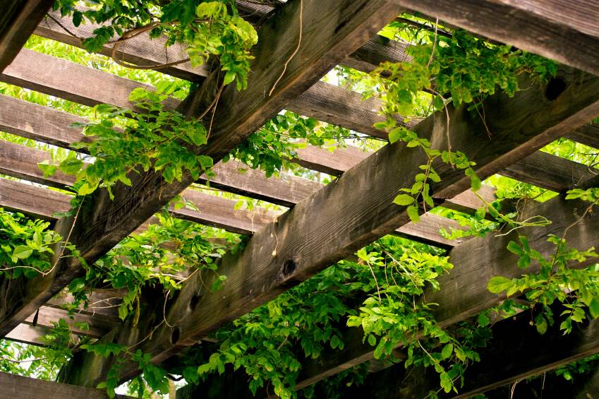 Easy Diy Garden Trellis Ideas