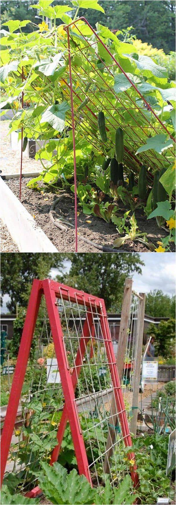 Easy Diy Garden Trellis Ideas