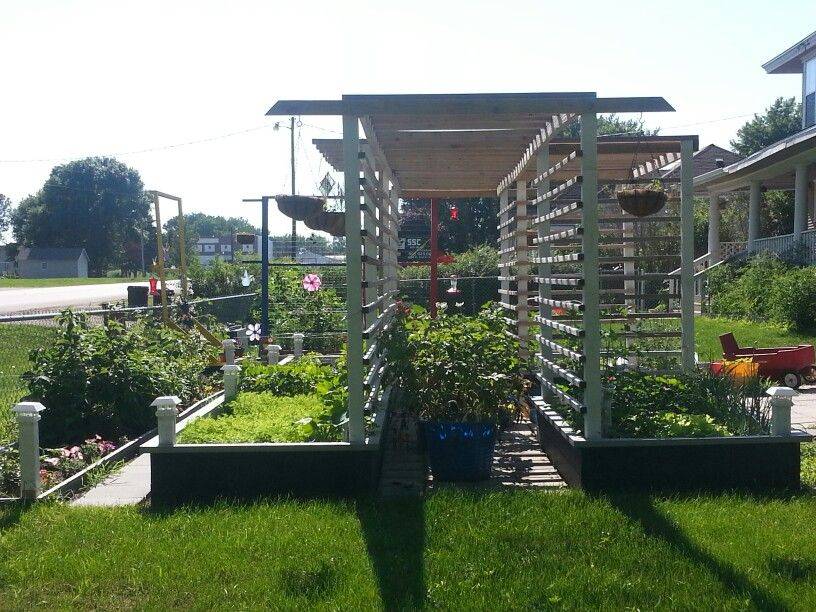 Easy Diy Garden Trellis Ideas