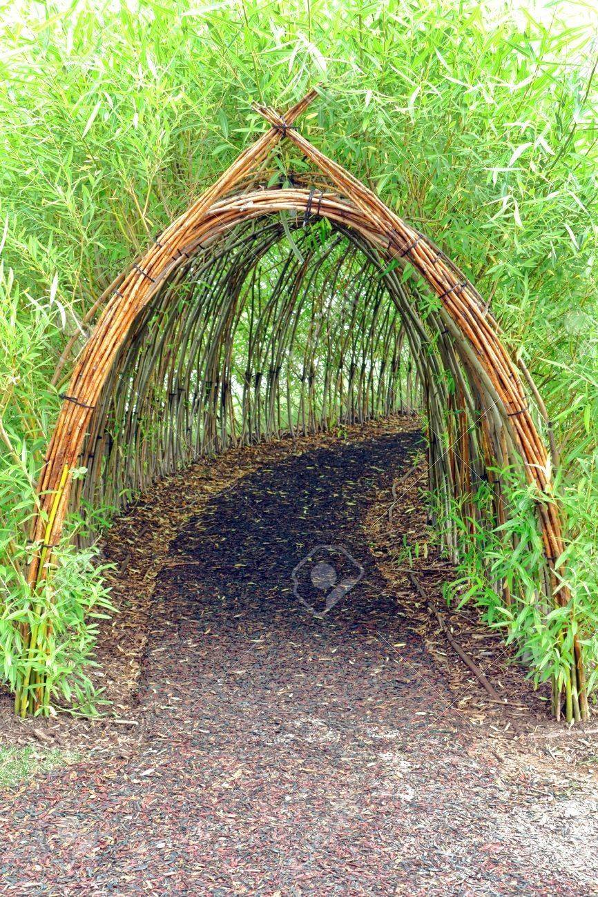 Living Willow Tunnel