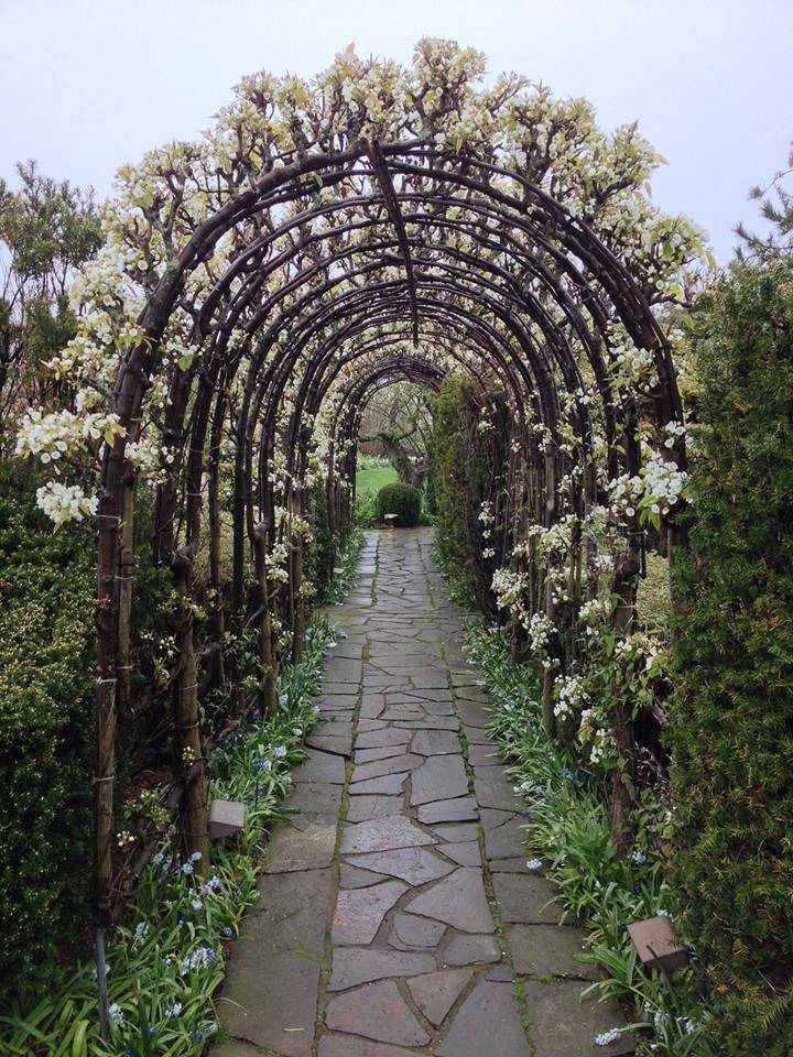 Easy Diy Garden Trellis Ideas