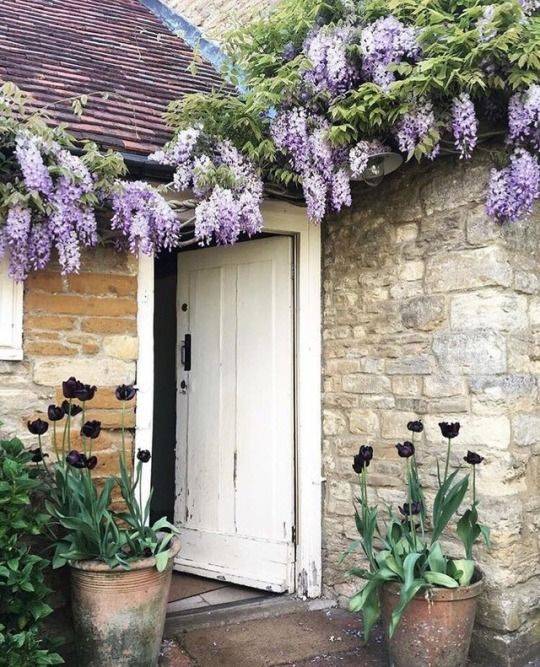 Best Garden Trellis Images