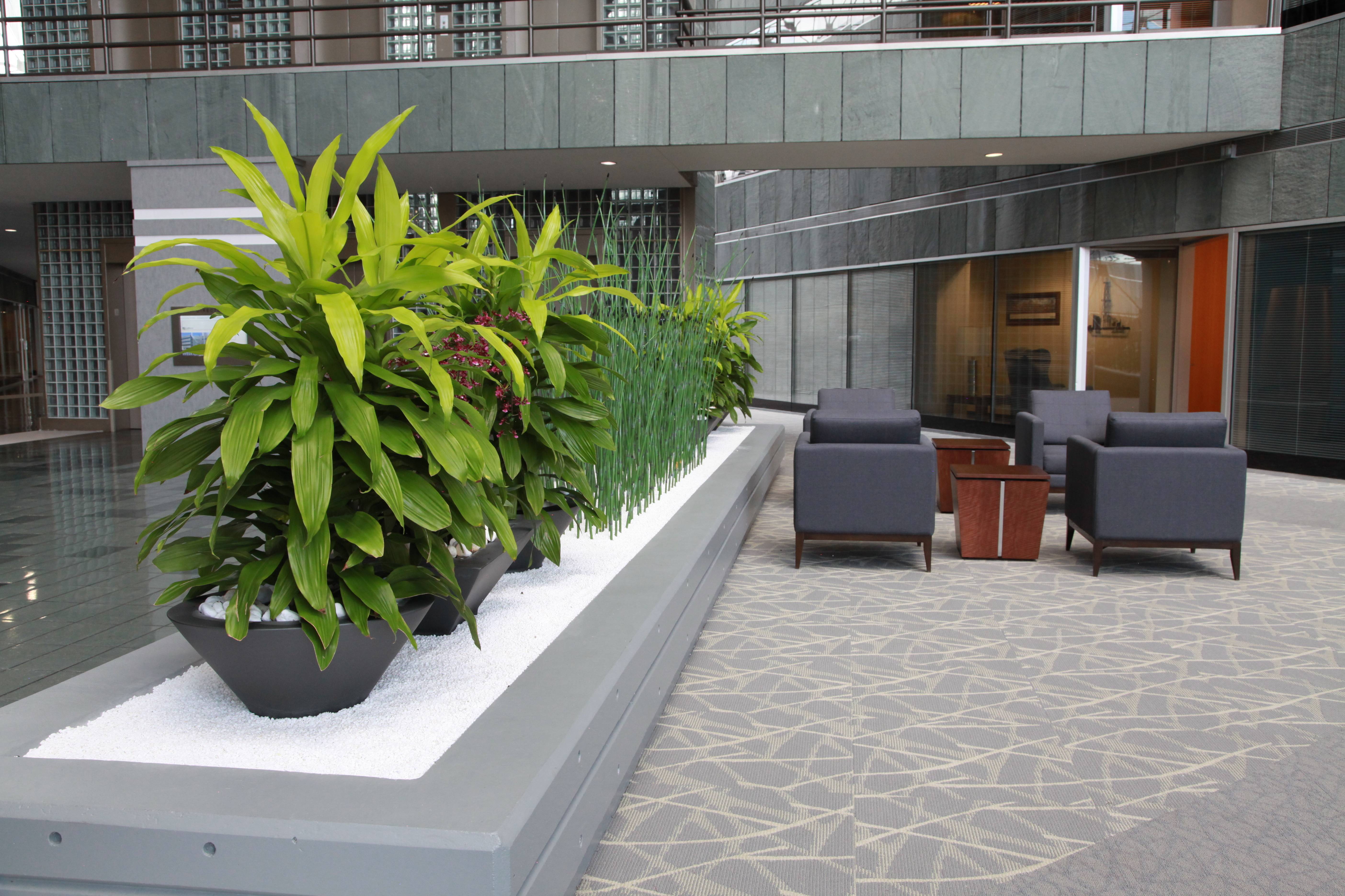 Beautiful Indoor Garden Design Ideas