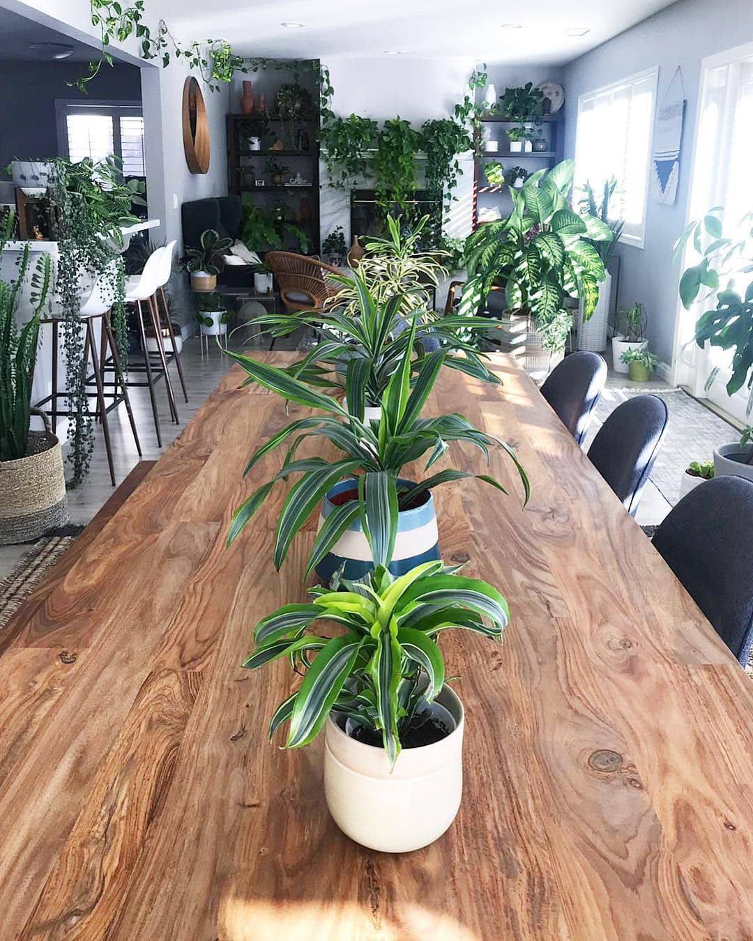 Amazing Living Wall Indoor Decoration Ideas Hmdcrtn
