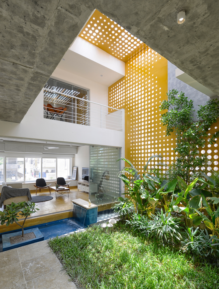 Beautiful Hanging Plant Ideas