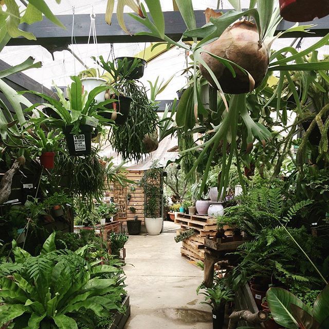 Garden Center Displays