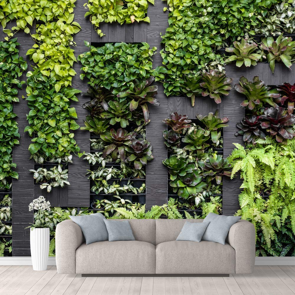 Planter Design Ideas